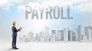 Payroll software automation